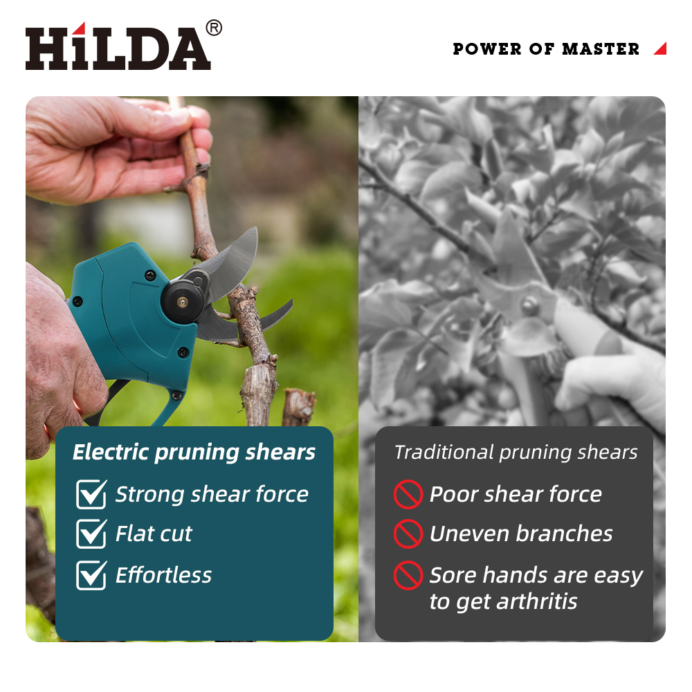 HILDA 18V Brushless Cordless E - огляд і ціна Gardening Tools Basic