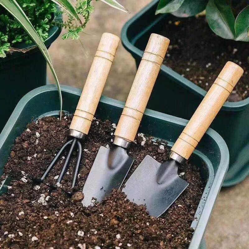 3PC/1Set Mini Gardening Tools  - огляд і ціна Gardening Tools Gifts