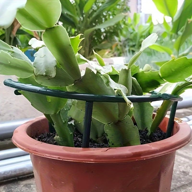 30-1PCS Plastic Plant Support  - огляд і ціна Gardening Tools Gifts