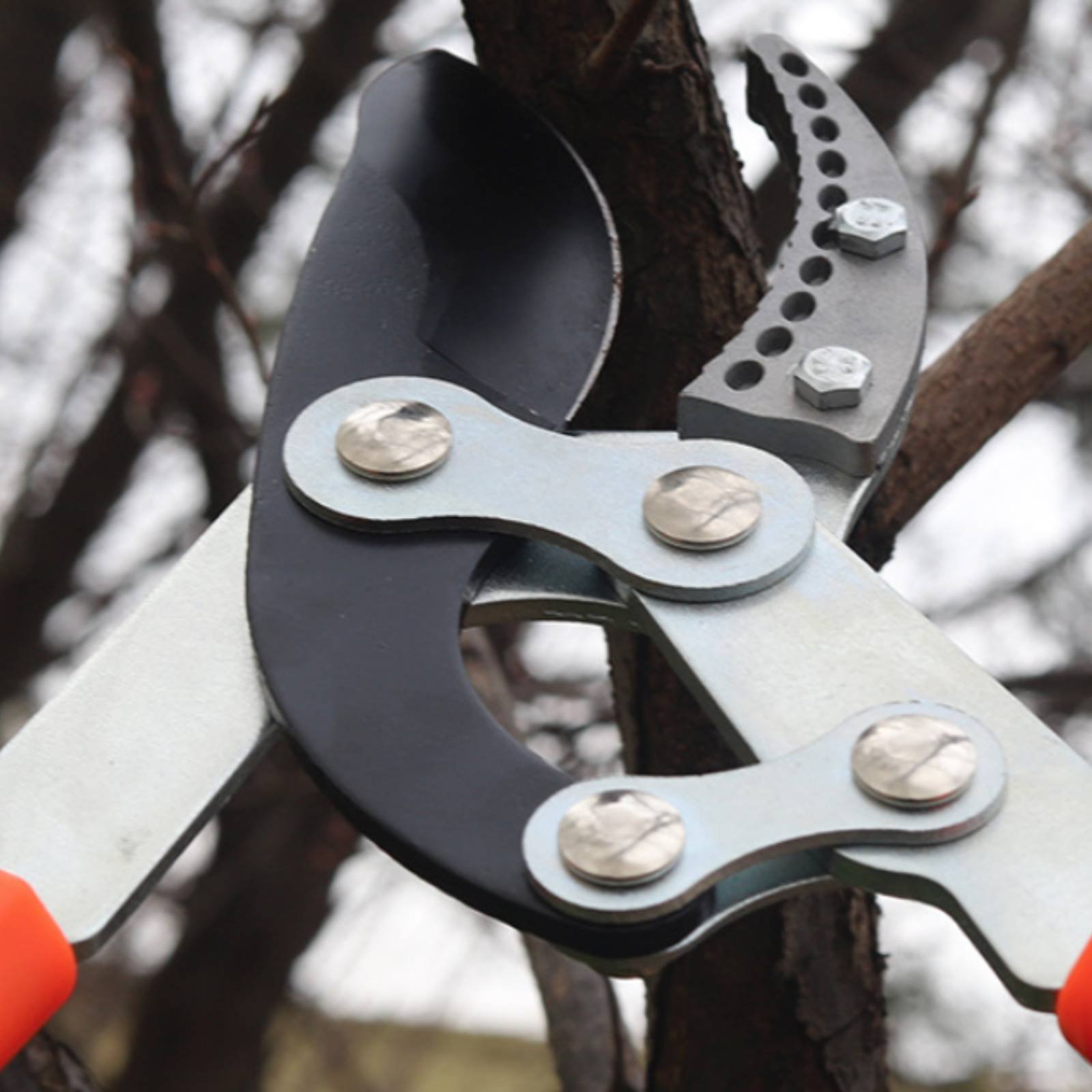 Telescopic Branch Pruners Shar - огляд і ціна Gardening Tools