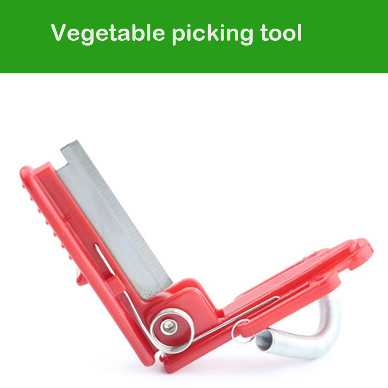 Knife Separator Vegetable Frui - огляд і ціна Gardening Tools Youtube